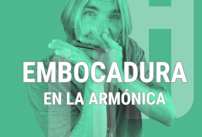 curso-de-embocadura-harpvard