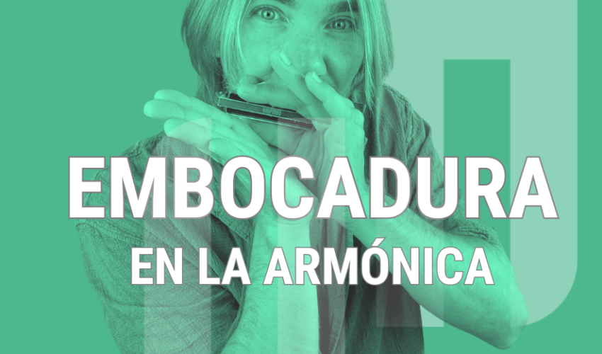 curso-de-embocadura-harpvard